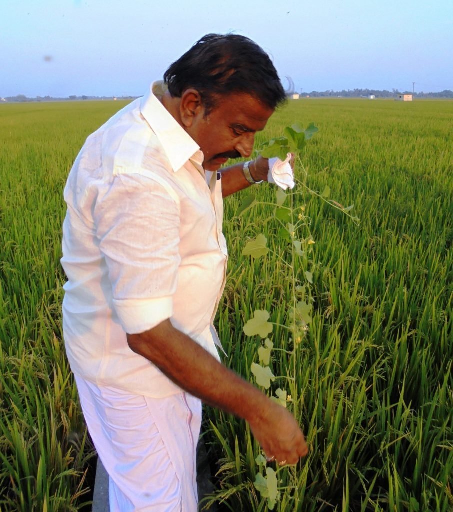 கே.என்.நேரு 