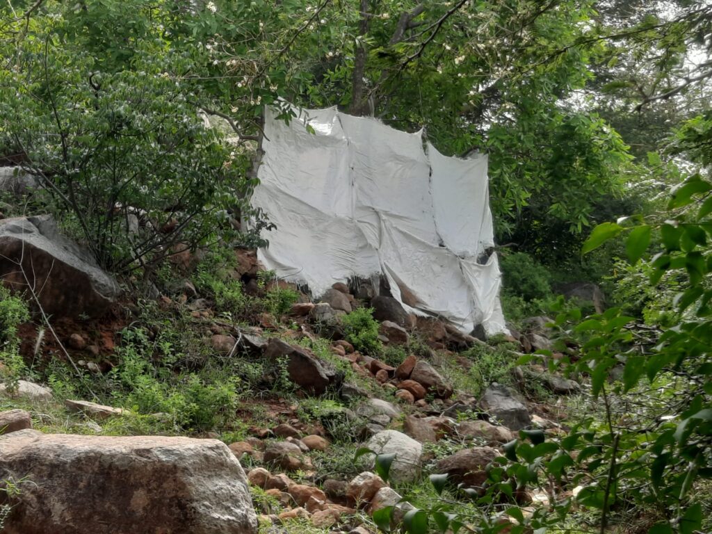 பெருமாள்மலை