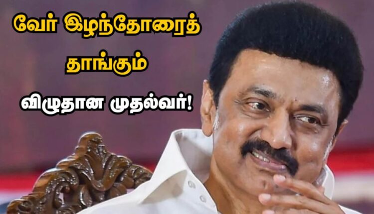 ஓடட இலலதவரகளககம வட Angusam News Online News Portal