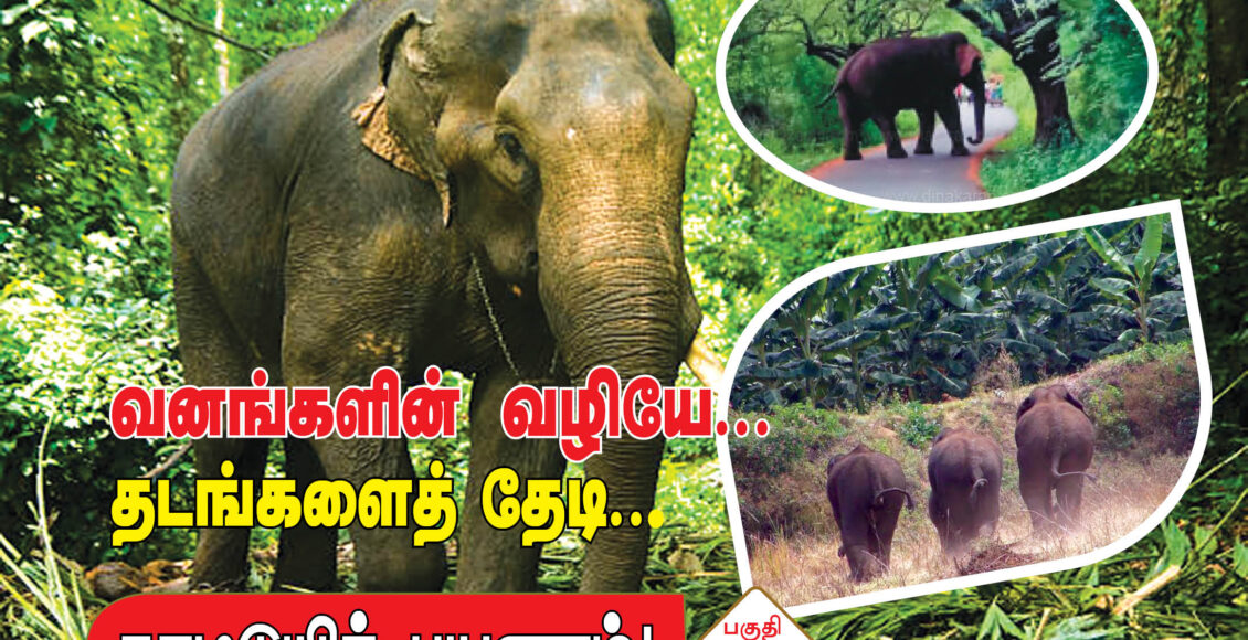 காட்டுயிர் பயணம்