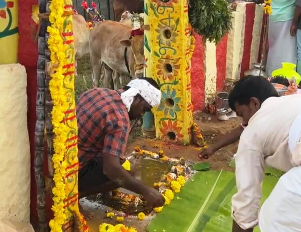 ஏலகிரி பொங்கல் விழா (2)