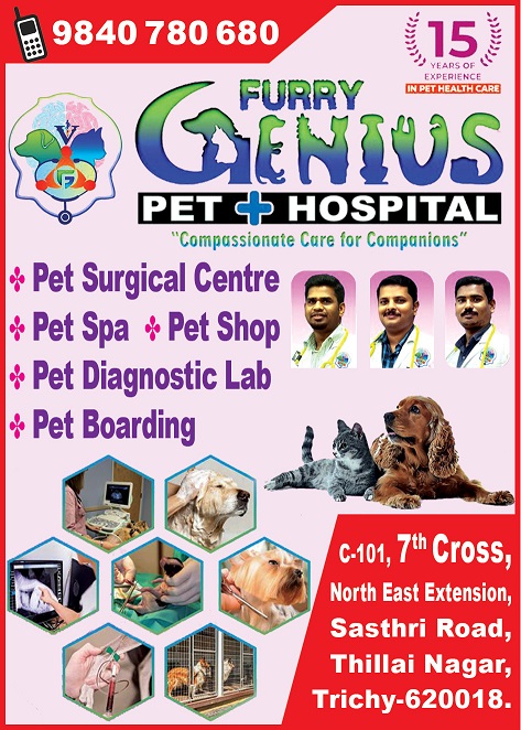 Furry genius pet hospital