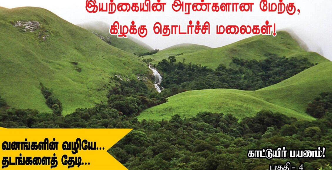 காட்டுயிர் பயணம் - 4