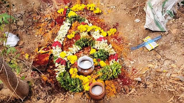 உணவு தேடிவந்த குரங்கு