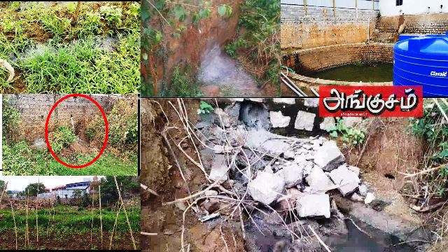 தங்க கோட்டை" என்ற நட்சத்திர விடுதியில் இருந்து வெளியேறும் 