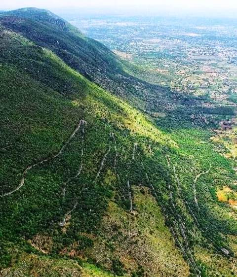 ஏலகிரி மலை