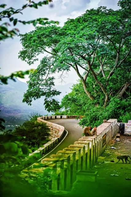 ஏலகிரி மலை