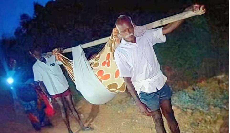 கர்ப்பிணி ராஜகிளி