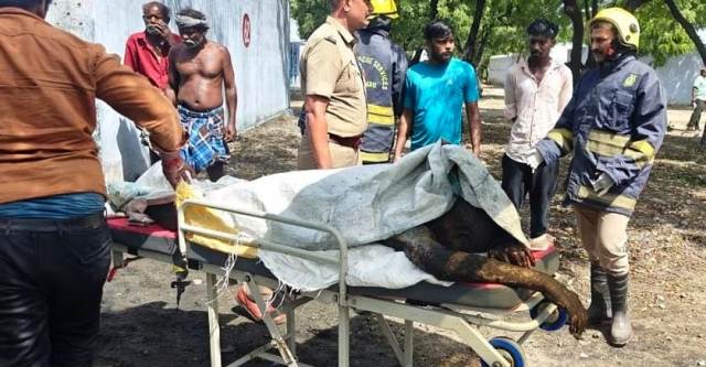 பட்டாசு விபத்தில் பலியான நபர்களை மீட்கும் பணி