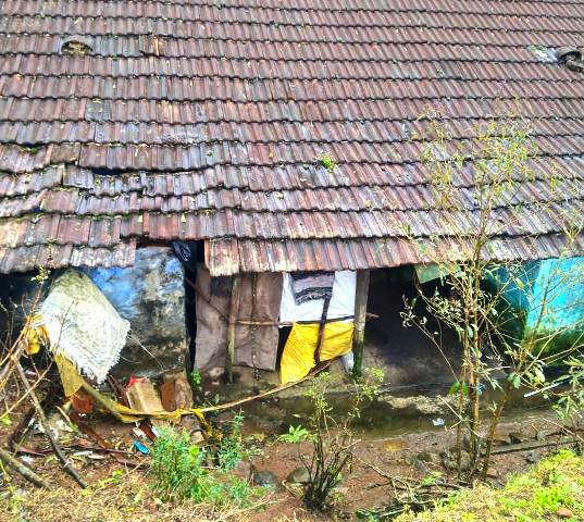 மேகமலை வீடுகள்
