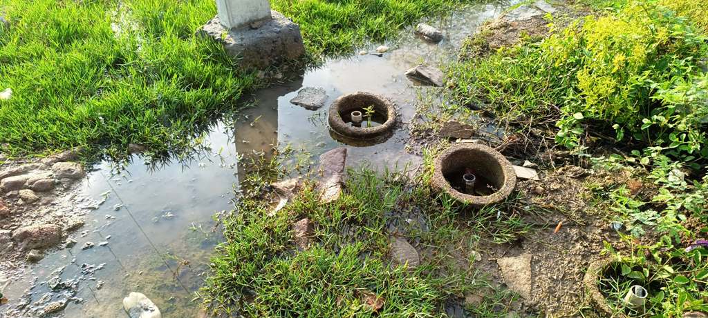 துர்நாற்றம் அல்லாடும் ஆரிப் நகர்