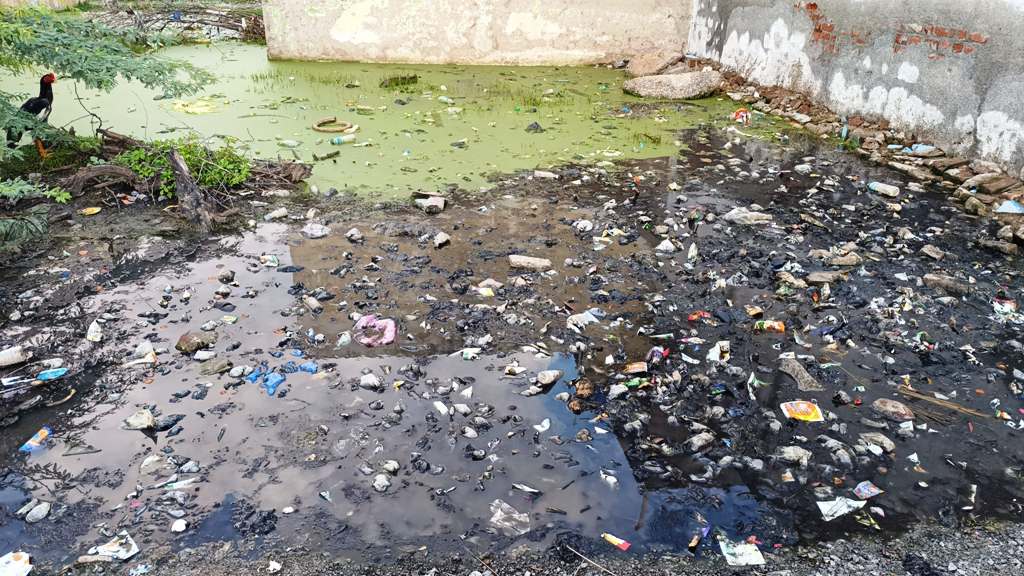 துர்நாற்றம் அல்லாடும் ஆரிப் நகர்