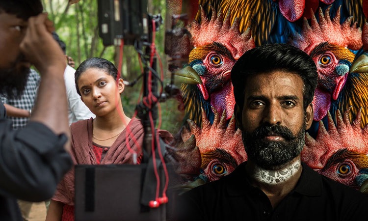 கொட்டுக்காளி movie