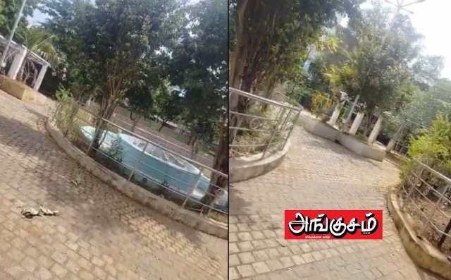 திரவியம் பிள்ளை பூங்கா உள்பக்கம்