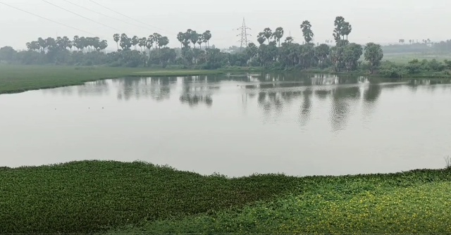 மூப்பன்பட்டி கிராம கண்மாய்