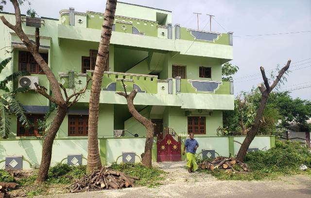 அனுமதியின்றி மரங்களை வெட்டுபவர்கள் மீது நடவடிக்கை 