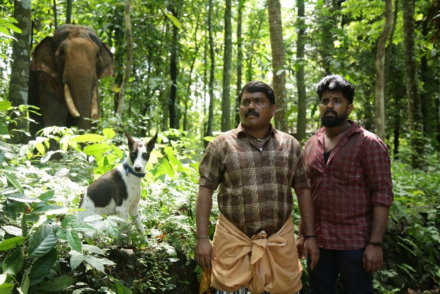 அலங்கு திரைப்படம்