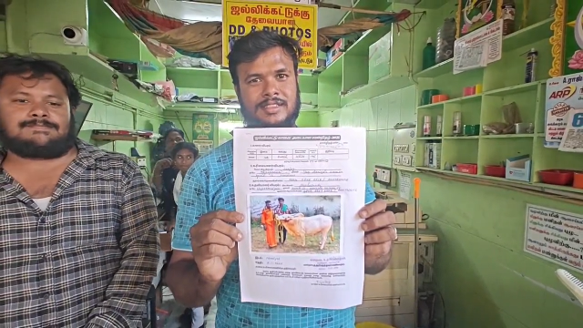 ஜல்லிக்கட்டு