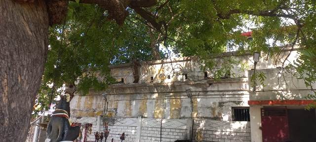 முனியப்பசாமி கோவில் விராலிமலை