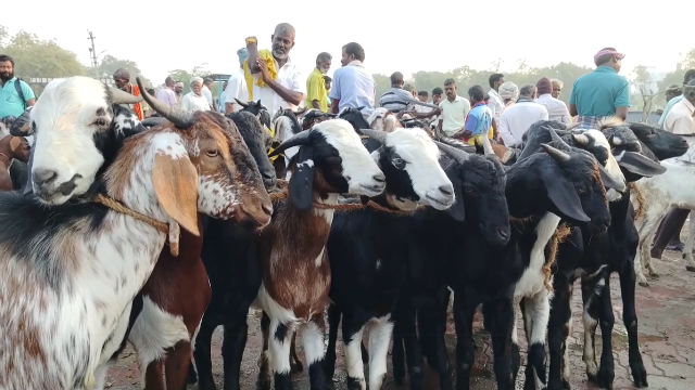 எட்டையாபுரம் ஆட்டுச் சந்தை