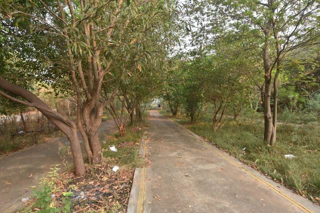 பசுமை பூங்கா