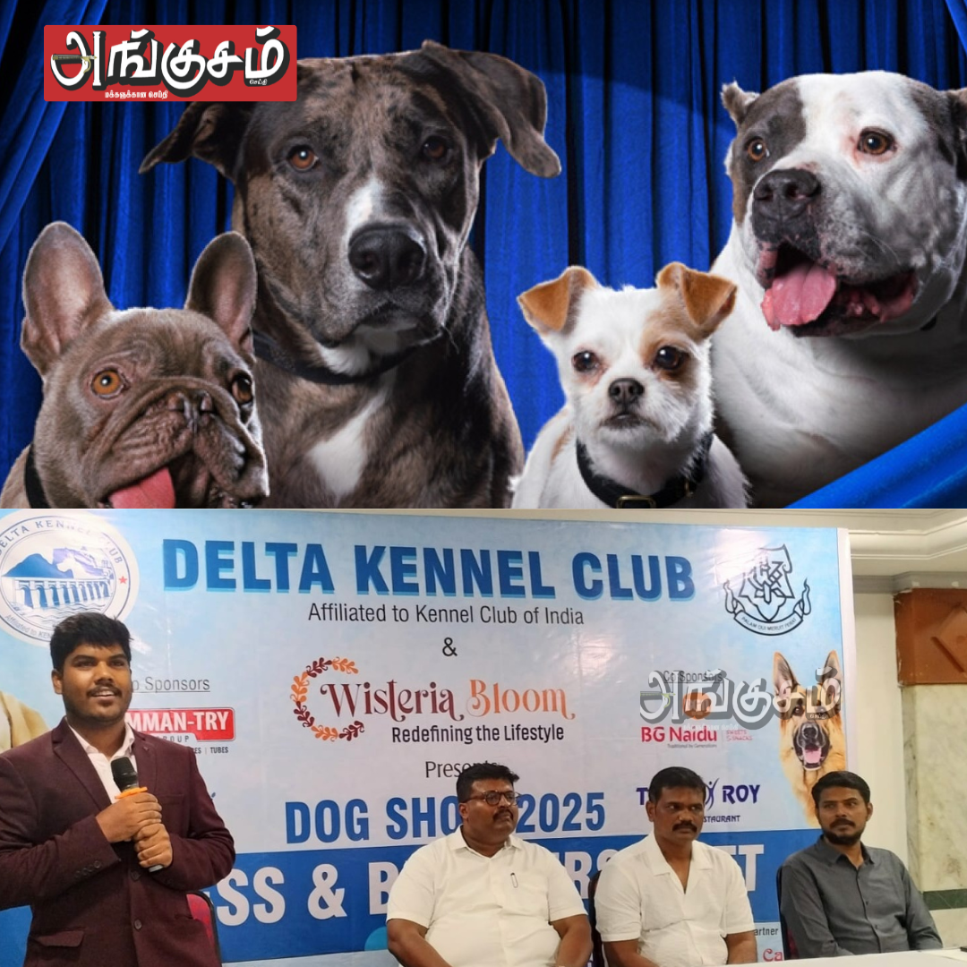 சர்வதேச நாய்கள் கண்காட்சி
