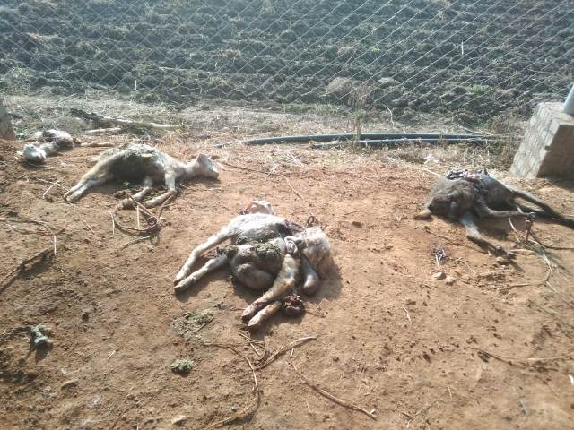 விவசாயிகள் அச்சம் 