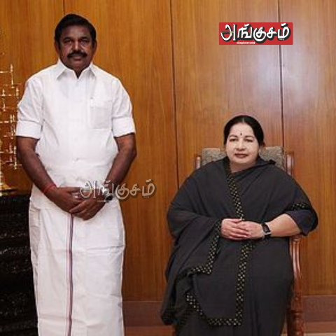 அடிமட்ட தொண்டர் கட்சித்தலைவரான கதை