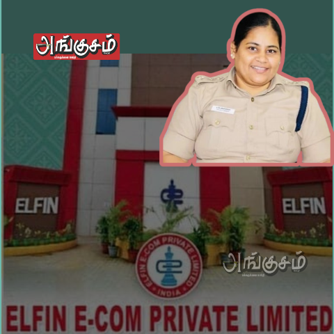 எல்ஃபின் ( ELFIN ) நிறுவன மோசடி