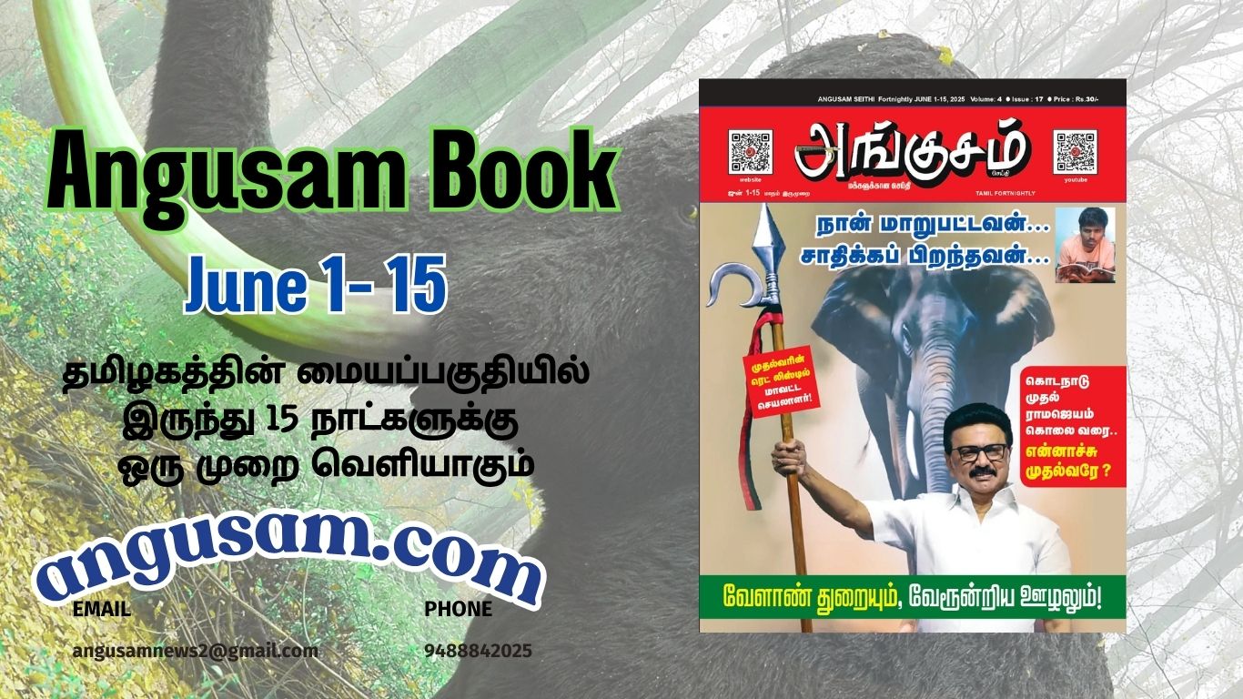 2025 ANGUSAM PAGES JUNE 1-15