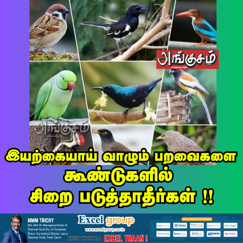 பறவைகள் தொடர் 13