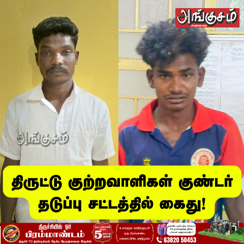 திருட்டு குற்றவாளிகள்