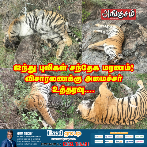 புலிகள் மரணம்