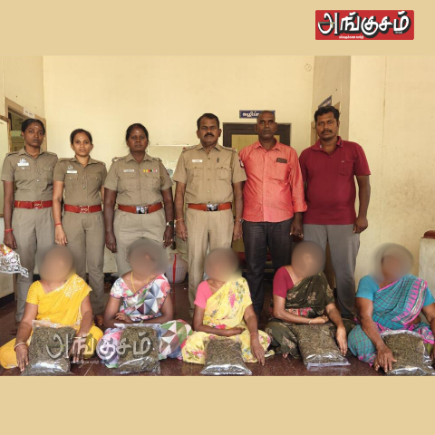 கஞ்சா குற்றவாளிகள் கைது