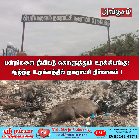 பெரியகுளம் நகராட்சி
