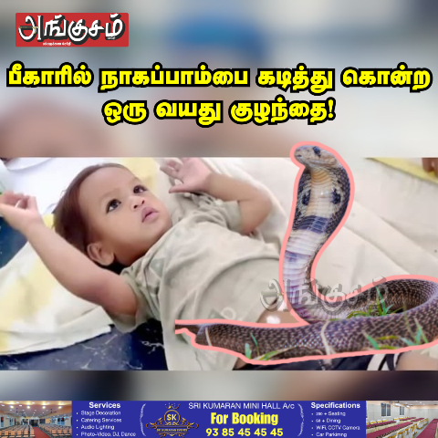 பாம்பை கொன்ற குழந்தை
