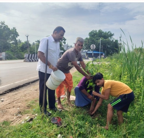 வாராவாரம் மரம் நடுதல்...