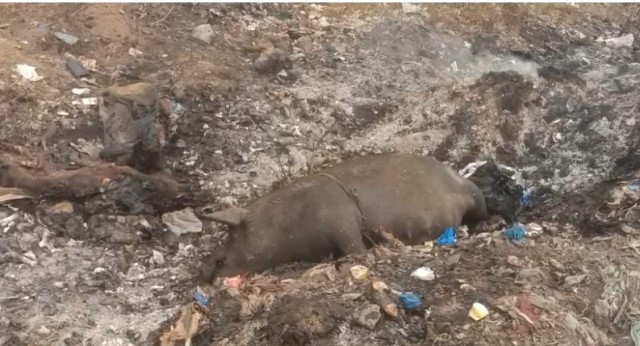 பெரியகுளம் நகராட்சி