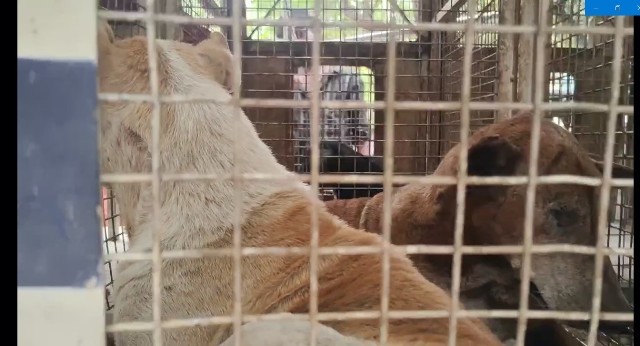 மதுரை அரசு கல்லூரி