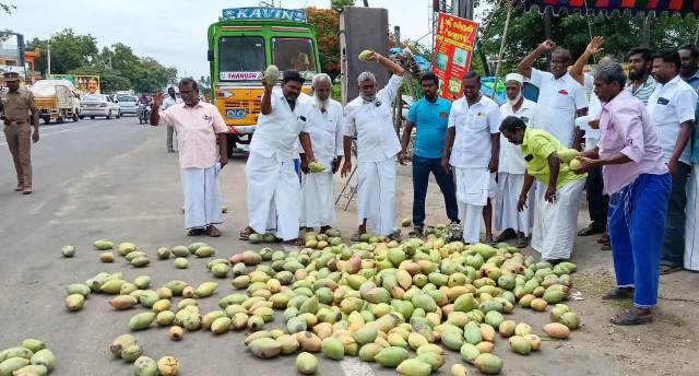 மாம்பழம் விலை வீழ்ச்சி
