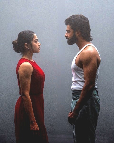 சினிமா செய்திகள்