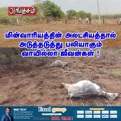 அலட்சியத்தில் மின்சார வாரியம்