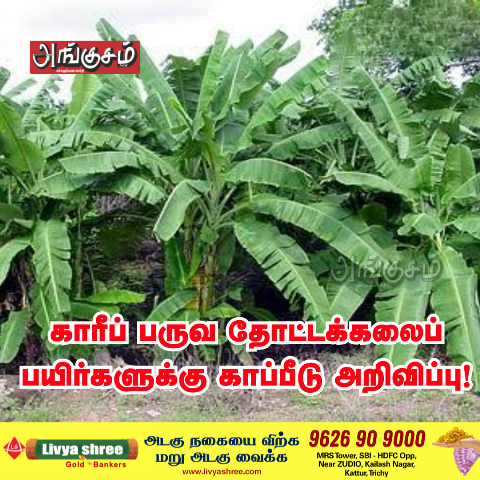 பயிர் காப்பீடு