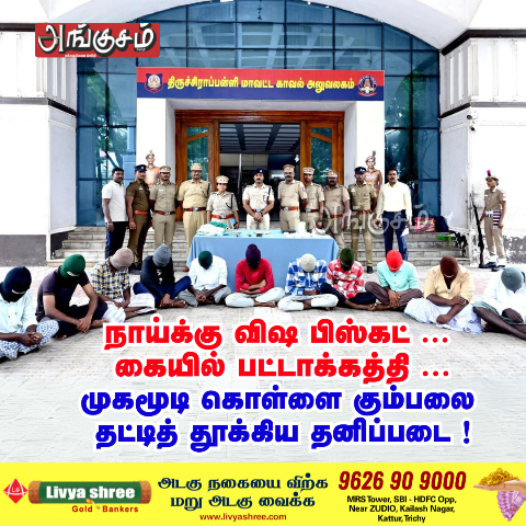 முகமூடி கொள்ளை கும்பல்