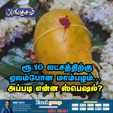 மாம்பழ திருவிழா