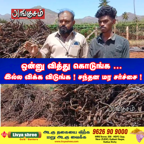 சந்தன மர சர்ச்சை