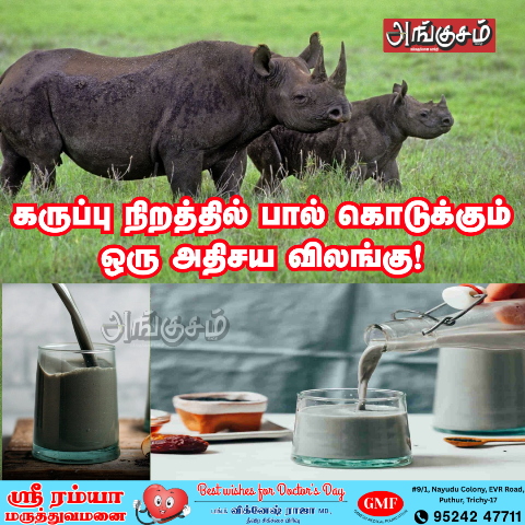 அதிசய விலங்கு