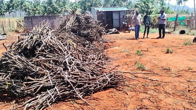 சந்தன மர சர்ச்சை 