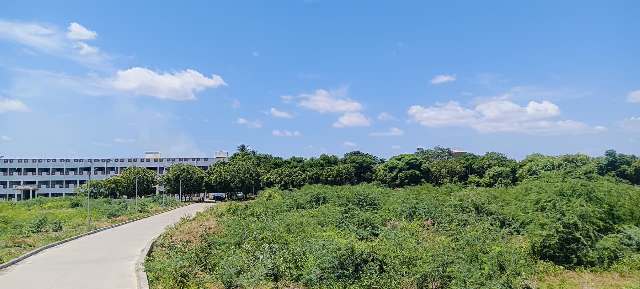 அரசு கலைக்கல்லூரி, திருச்சி