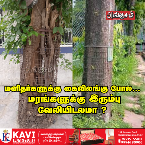 மரங்களுக்கு இரும்பு வேலியிடலமா ?